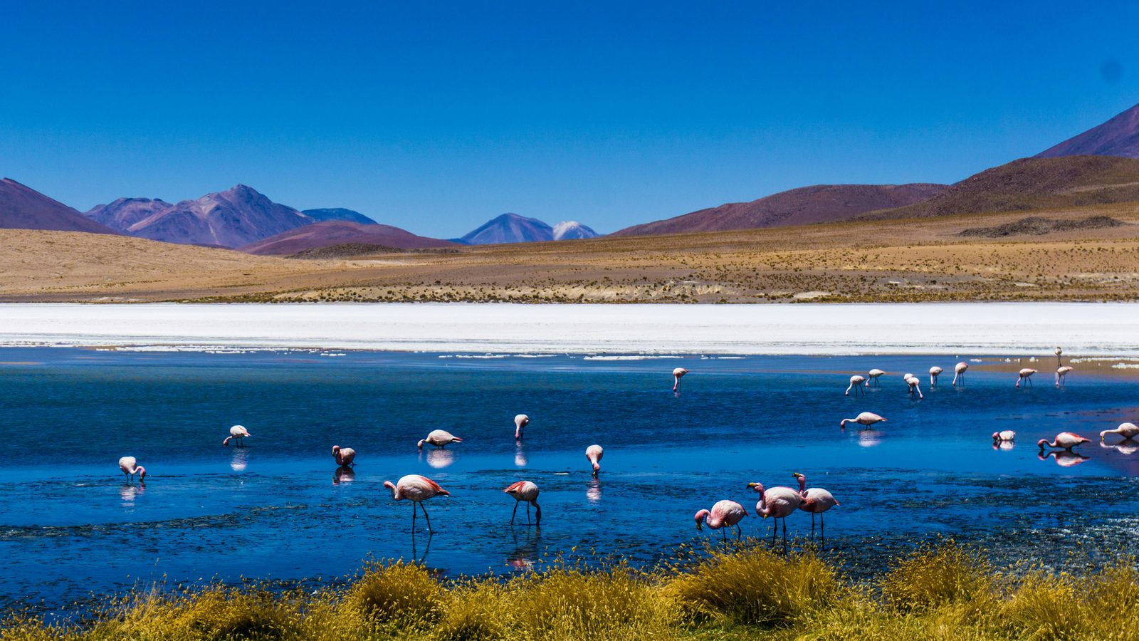 Paisaje natural protegido con biodiversidad tropical